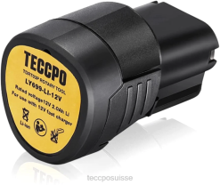 ZLFT40 TECCPO Batterie ly699-li (1 paquet) de 2,0 ampères pour batteries lithium-ion 12 V accessoires