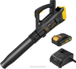 ZLFT55 TECCPO souffleur de feuilles sans fil 20v entretien du jardin